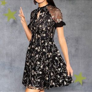 Kensie (Nordstrom) Black Mesh Dress with Gold Floral‎ Embroidery